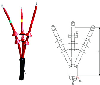 RSNY-3.jpg